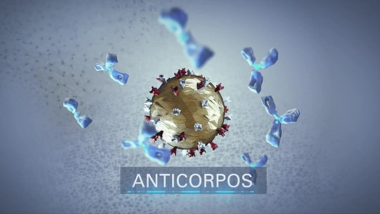Vacina 100% brasileira contra Covid chega à última fase de testes clínicos; imunizante deve estar disponível em 2028 | Minas Gerais