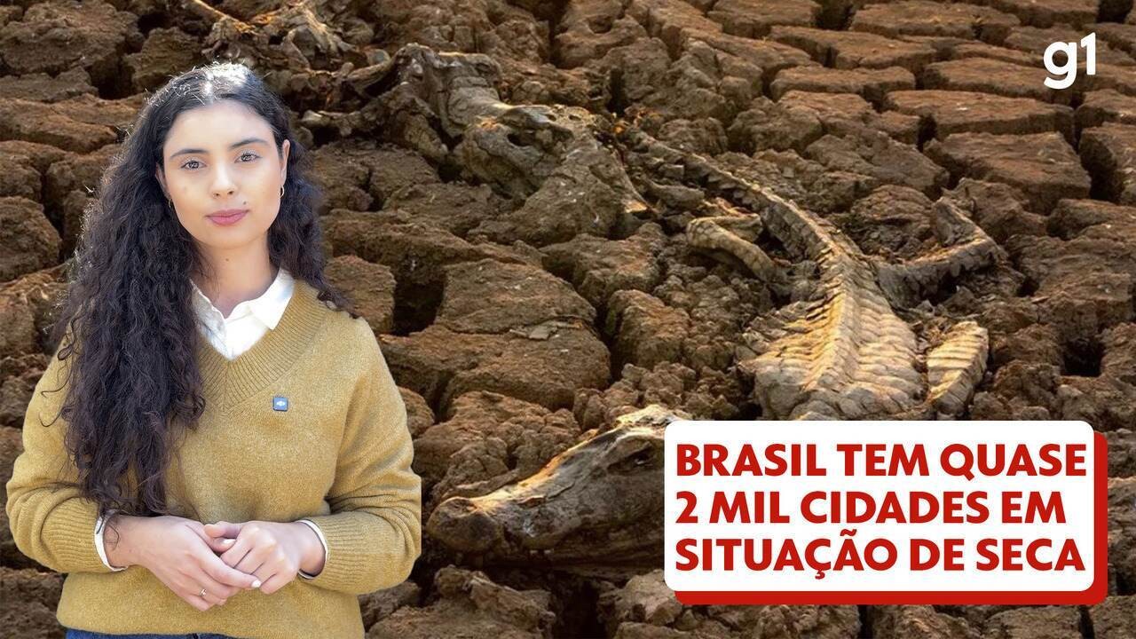 Fazer perguntas para IAs pode evaporar água suficiente para abastecer cidades; governo quer atrair data centers com isenção de impostos | Meio Ambiente