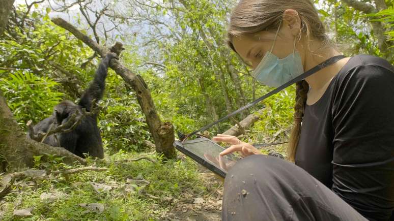 A pesquisadora Elodie Freymann observa chimpanzés selvagens para registrar seus comportamentos