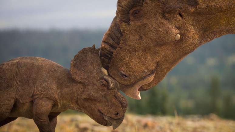 A manada provavelmente foi exterminada em um desastre natural