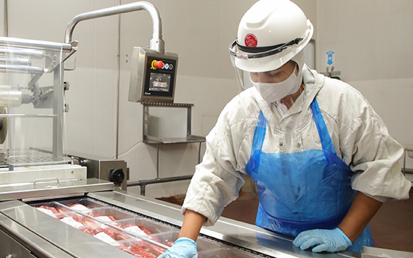 Marfrig vai incorporar BRF, dona da Sadia e Perdigão, e formar fusão com receita de R$152 bi | Economia